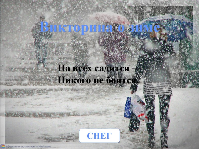 Викторина о зиме  На всех садится — Никого не боится. СНЕГ